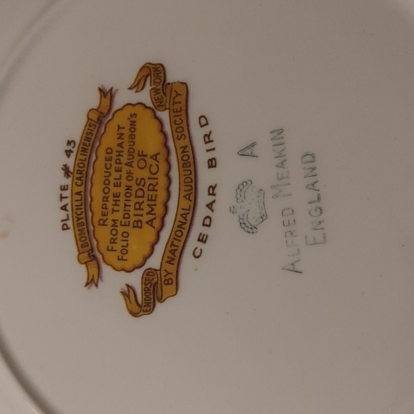 Bombycilla Carolinensis Cedar Bird Plate - Picture 3 of 3